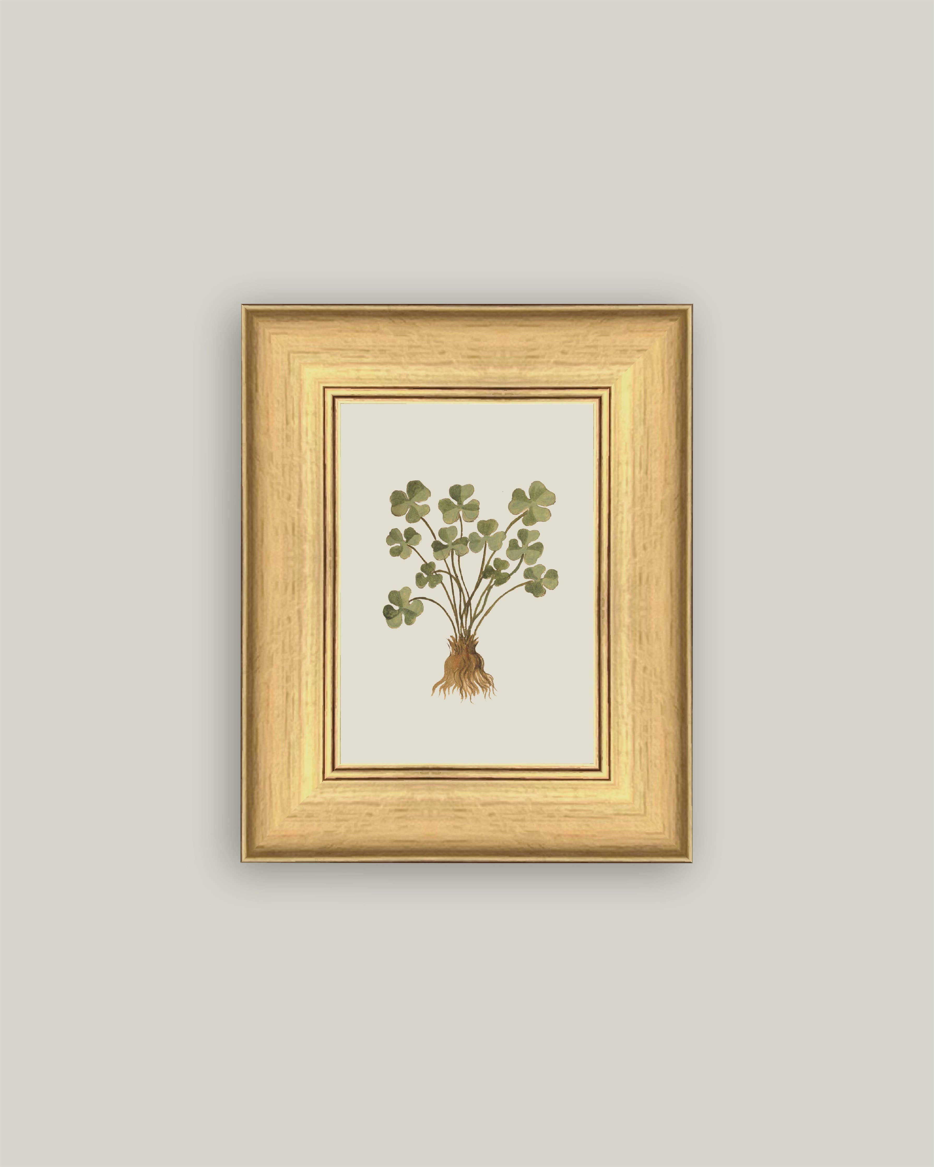 Rooted Luck - 6x8