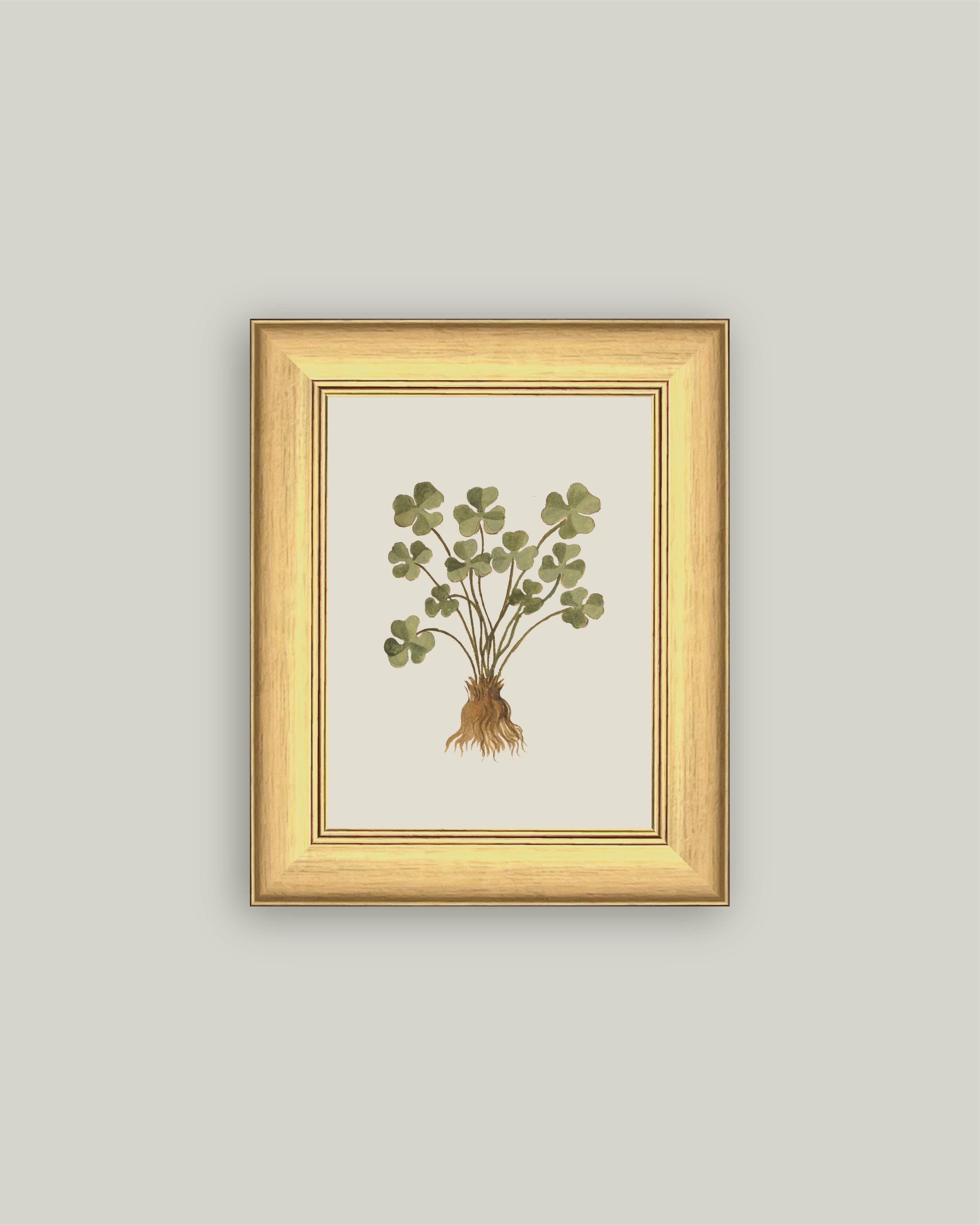 Rooted Luck - 6x8