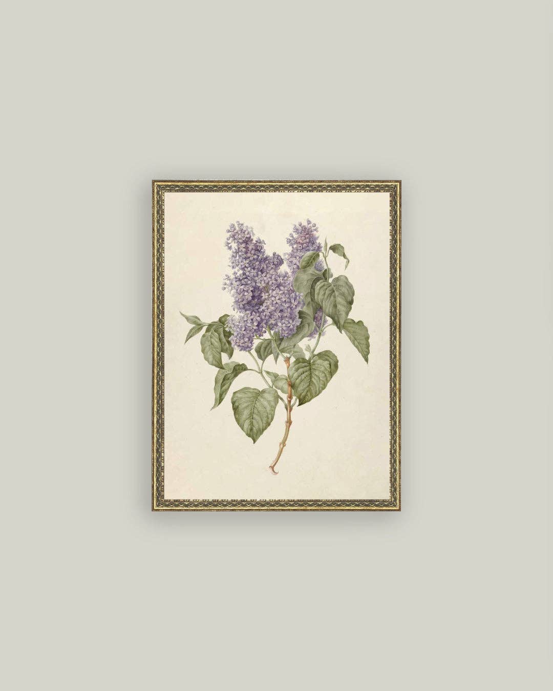 Lilac Branch Framed Antique Art - 5x7
