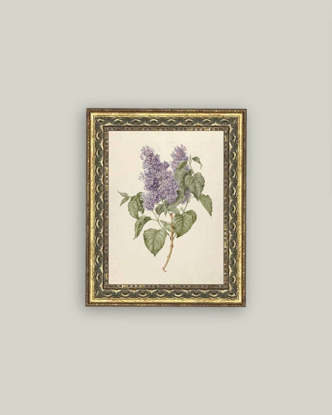 Lilac Branch Framed Antique Art - 5x7